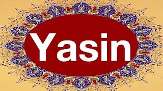 Yasin Suresi Tamamı / Yasin suresi ok takipli kelime işaretli / Bilgisayar hatlı yasin-i şerif