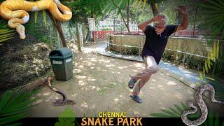 SNAKE outside SNAKE PARK?! | Chennai Snake Park 