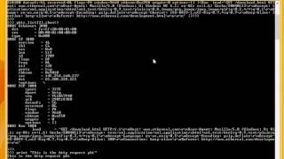 Read pcap files, modify and create new pcap file using scapy in python