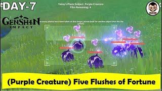 (Day 7 - Purple Creature) Here is how to Complete Five Flushes of Fortune | Kurious Kamera