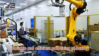 Peitian Robot: Precise Palletizing for a variety of shapes and size