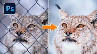 Remove a Fence with Spot Healing Brush in Photoshop