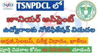 TSNPDCL Junior Assistant Notification 2023 || TSNPDCL Notification 2023 || TSNPDCL|| e muchata