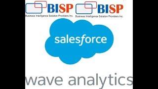 Binding in Wave Analytics|Dynamic Reference Line|Salesforce Wave|Salesforce Wave Training