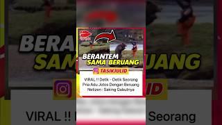 VIRAL !! Pria Adu Jotos Dengan Beruang #tasikjulid #shorts