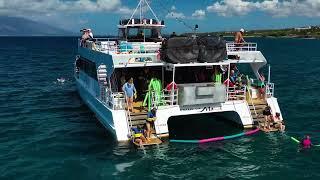 Pride of Maui Whale Watch & Snorkel Cruise | Best Maui Whale Watching