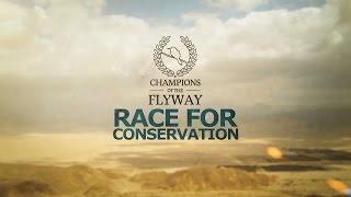 Champions of the Flyway - Birding Extreme!