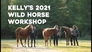 Kelly's Wild Horse Workshop!