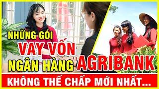 Gói vay vốn Ngân hàng Agribank không thế chấp mới nhất bạn chưa biết