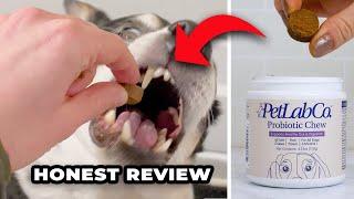 I tried PetLab Co Probiotic Chews for my itchy dogs | Honest Owner Review