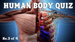 Can You Pass This Human Body Quiz?  Quiz No.3 of 4