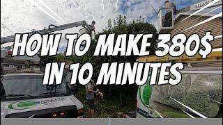 Make $380 in Just 10 Minutes by Trimming 3 Trees | Real Time