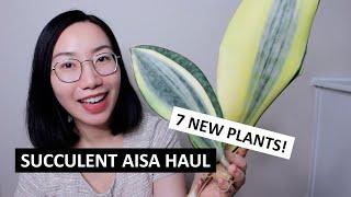 Succulent Asia Plant Mail Unboxing! Adding 7 Rare Sansevieria and Succulents to My Collection