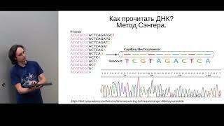 Научно-популярная лекция "Методы секвенирования ДНК" Зубарицкого А.В. ФИЦ Биотехнологии РАН