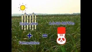 Process of making AJI-NO-MOTO®