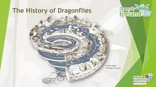 Dragonfly Ireland   An Introduction to the Dragonflies and Damselflies