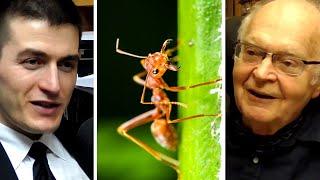 Donald Knuth: Ant Colonies and Human Cognition | AI Podcast Clips