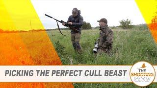 The Shooting Show - Stalking stags in New Zealand, fox control and rabbiting