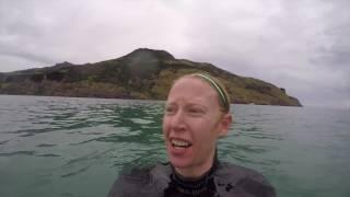 Swimming with Hector's Dolphins in Akaroa New Zealand