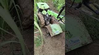 sugarcane power weder,Rico Italy power weder back rotary #sugercane #powerweder #shortsvideo