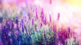 Beautiful Relaxing Music for Stress Relief ~ Calming Music ~ Meditation, Relaxation, Sleep, Spa