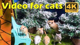 24/7 LIVE Cat TV: Endless Hide & Seek for Cats - Hours of Tiny Mice Chase 