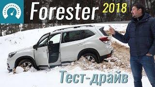 Где застрянет Форестер? Обзор Subaru Forester 2018