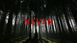 (FREE) Zach Bryan x Noah Kahan Type Beat "Never" | Country Folk Instrumental