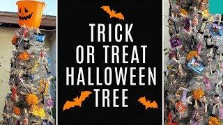 Making a Halloween Trick or Treat Candy Tree Feat. Crafty Chica