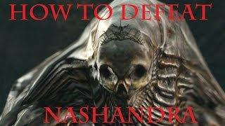 Dark Souls II - How To Defeat the Final Boss - Nashandra!