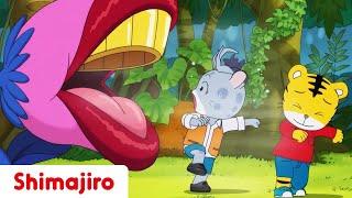 A Wild Visit to the Forest  | Friendship | 24 Minute Compilation | Kids video for Kids | Shimajiro