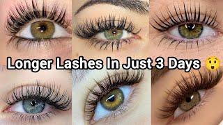 Grow Your Eyelashes Faster Naturally  | Thicker Lashes in Few Days | Lash growth remedies 