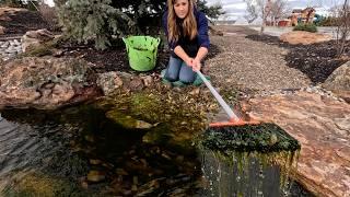 Pond Plant Maintenance & Playing with Pansies! 🪴 // Garden Answer