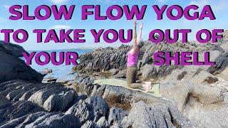 Slow Flow Yoga To Take You Out Of Your Shell - West Cork, Ireland