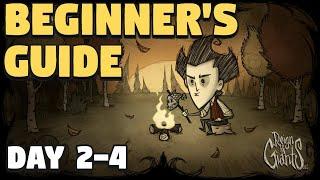 Don't Starve Together Beginners Guide - Day 2 - 4 - Don't Starve Together Full Year Guide - Autumn