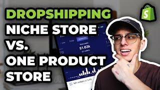 Should You Start A Dropshipping Niche Store Or One Product Store?