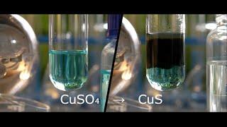 Double displacement Na2S + CuSO4 | Sodium sulphide + Copper sulphate | Precipitation reaction