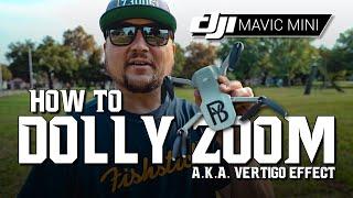 DJI Mavic Mini / How to DOLLY ZOOM! / Tutorial