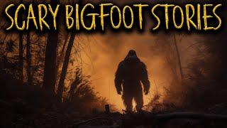 6 Terrifying BIGFOOT Stories That Will Give You Chills | Sasquatch Encounters, Deep Woods, Forest