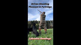 Driven Shooting Scotland 2022/2023 season Peg dog Gundog Pheasant shooting Partridge shooting