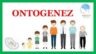 Ontogenez(embrional rivojlanish) Biologiya || Онтогенез(эмбрионал ривожланиш) Биология