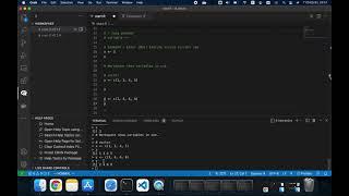 How_to_use_rlang_in_vscode