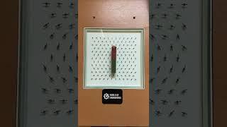 Magnetic fields demonstration 