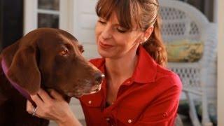 Dog Training With Positive Reinforcement | Teacher's Pet With Victoria Stilwell