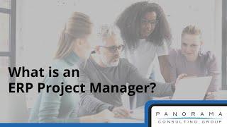 What is an ERP Project Manager?