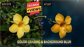 Moody Flower editing tutorial | Lightroom color grading | blur image background
