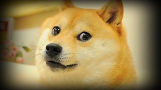 Rest in Peace, Doge