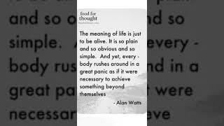 Meaning of Life by Alan Watts