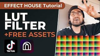 LUT & Color Grading Filter for TikTok!  | Effect House Tutorial