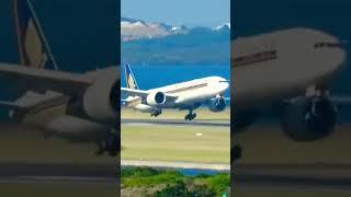  Boeing 777 wobbles while landing in strong wind gust! ️ #shorts #flight #aviation